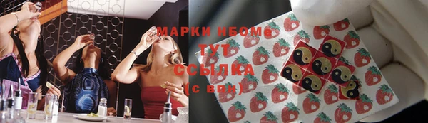 молекула духа Вязьма